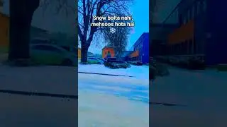 Norway Winter Morning ❄️ | Peaceful Snow View | FidaHussainShorts