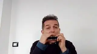 Hohner Rhythm & Blues chord harmonica ( Black)