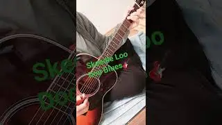 Skeedle Loo Doo Blues🎸　Rag Time Guitar