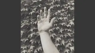 Hiya