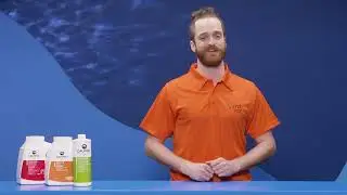 Comment &eacute;viter la formation d&rsquo;algues dans la piscine? | Sima Piscine & Spas