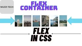 CSS Flex container/Flex Boxes In 5 minutes | Flex Container in CSS