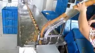 cookies packaging machine, biscuits packaging machine,crackers packaging machine