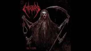 Amputory - 07 - Unnacountable