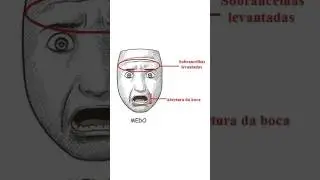 Quando voc&ecirc; &eacute; metaforado... | Apenas entretenimento! #tet #metaforando