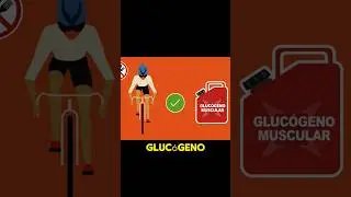 EL ARTE DE LA EFICIENCIA ENERG&Eacute;TICA #ciclismo #CiclismoEnAyunas #Gluc&oacute;geno #consejosciclismo