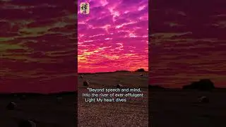 Guided Meditation-Daily Best Meditation Quotes