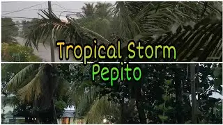 Pepito-now a-Tropical Storm/ Expect to landfall tonight over Aurora-Isabela
