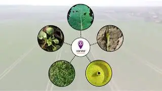 xarvio&trade; SCOUTING &ndash; Your Feedback is important us!