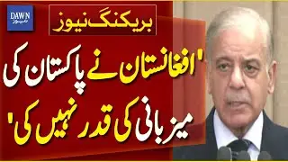 'Afghanistan Did Not Value Pakistan’s Hospitality': PM Shehbaz Sharif | Breaking News | Dawn News