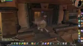 Level 39 Shaman Twink