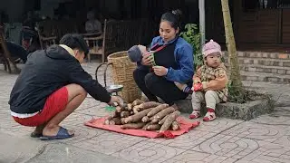 Harvesting a Huge Cassava Garden with My Son | From Farm to Market