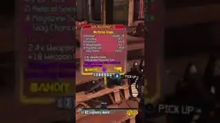 It just HAD to be a level higher #viral #borderlands2 #gaming