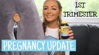 1ST TRIMESTER RECAP!  SYMPTOMS, CRAVINGS, & ESSENTIALS | Lexi Gasparro