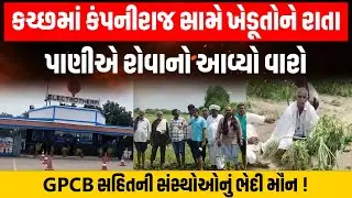 Kutch માં ELECTROTHERM સામે ખેડૂતોને રાતા પાણીએ રોવાનો આવ્યો વારો GPCB સહિતની સંસ્થોઓનું ભેદી મૌન!