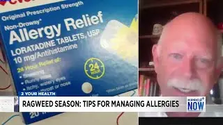 Ragweed Season: How Houston residents can manage their allergies