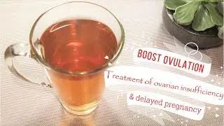 natural remedy to boost ovulation and get pregnant
