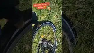 My TYRE has Just POPPED #puncture #tyre #popped#brompton#cycling#cyclinglife#greenery#cycle#bikeride
