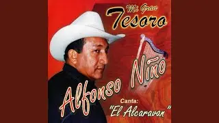 Mi Gran Tesoro
