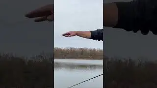 Самый важный совет по использованию джеркбейта при зимней ловле окуня!