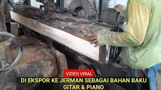 KAYU MAHONI PESANAN PERUSAHAAN GITAR & PIANO DI JERMAN || SAWMILL
