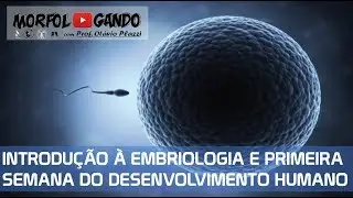 Introdução à Embriologia Humana e Primeira Semana do Desenvolvimento Humano (Aula Completa)