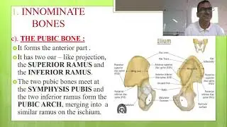 Bony pelvis #femalepelvis A class of subject midwifery and topic is FEMALE PELVIS part 1#midwifery 