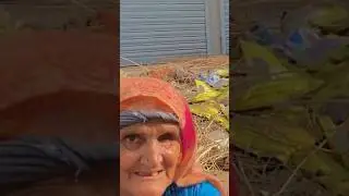 Helping an old lady #trending #kindness #viral #love #humanity #old #food