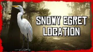 🦢Snowy Egret Location Red Dead Online