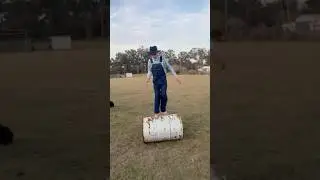 Ever seen barrel walking?!? #farmlife #farm #funny