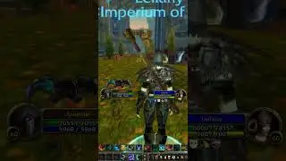 Топовый трансмог времен Wrath of The Lich King #ascensionwow #conquestofazeroth #wowprivateserver