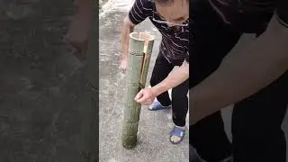 This is how to quickly split bamboo #shorts