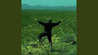 Digital Desert Drone