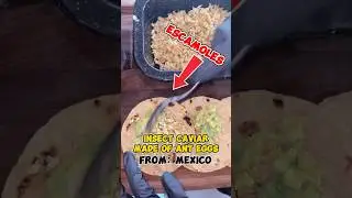 Why Do People Eat Ant Eggs? (Mexico&rsquo;s Caviar)