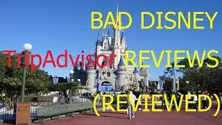 Vs Walt Disney World's Worst TripAdvisor Reviews