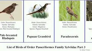 List of Birds of Order Passeriformes Family Sylviidae Part 3 babbler laughingthrush warbler Sibia