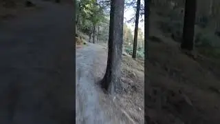 #straightroadriding#hills#ivricampus#mountains🏍️🏍️🏍️