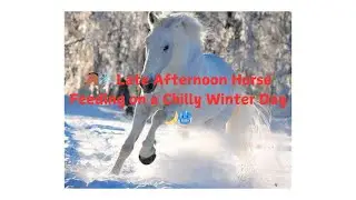 🐴❄️ Late Afternoon Horse Feeding on a Chilly Winter Day 🌙🥶