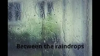 Between the Raindrops