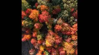 S.5 Ep.11: Ecological Memory
