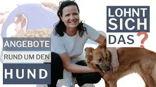 Lohnt sich Selbstständigkeit rund um den Hund