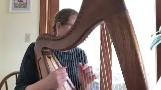 Miley Cyrus 's Grammy-winning song Flowers on late-beginner harp