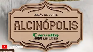 63&deg; LEIL&Atilde;O DE CORTE CARVALHO LEIL&Otilde;ES - ALCIN&Oacute;POLIS/MS - RURAL PLAY