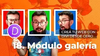 Módulo galería - Tutorial Divi en Español 2022 (Lección 18)