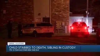 Child Stabbed to Death, Sibling in Custody