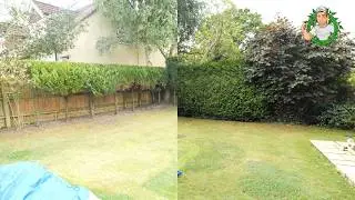 Mountain Garden Rescue Begins &ndash; First Job, First Transformation