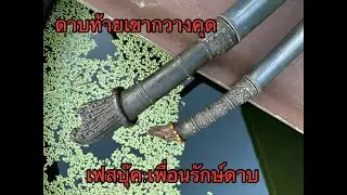 @จิบกาแฟคุยดาบEp.254 ดาบเขากวางคุด  ของค้ำคูน