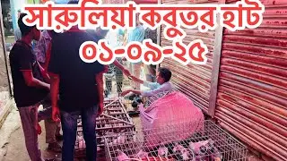 সারুলিয়া কবুতর হাট ২০২৫ । Local pigeon market | বাংলাদেশি কবুতর | কবুতর বেচা কেনা ।