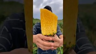 Pineapple cutting skills eating so fresh with rural farming life #like #reels #food #2025 #yummy