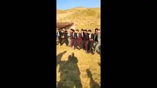 Govenda hay gulê | Herema Colemêrg/Şemzîna